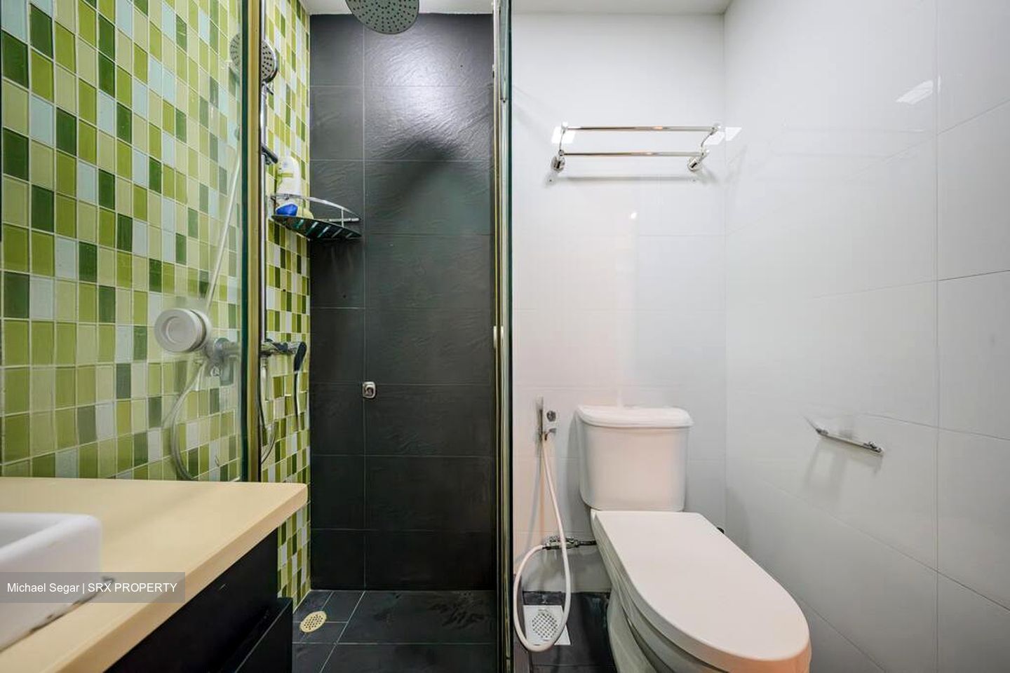 Regent Heights (D23), Condominium #522505381